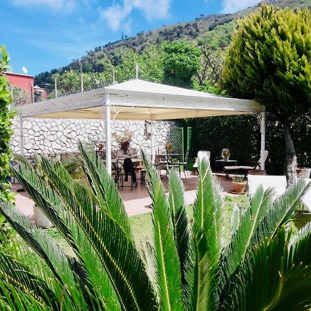 Villa Alessandro - Anacapri Anacapri  Dış mekan fotoğraf