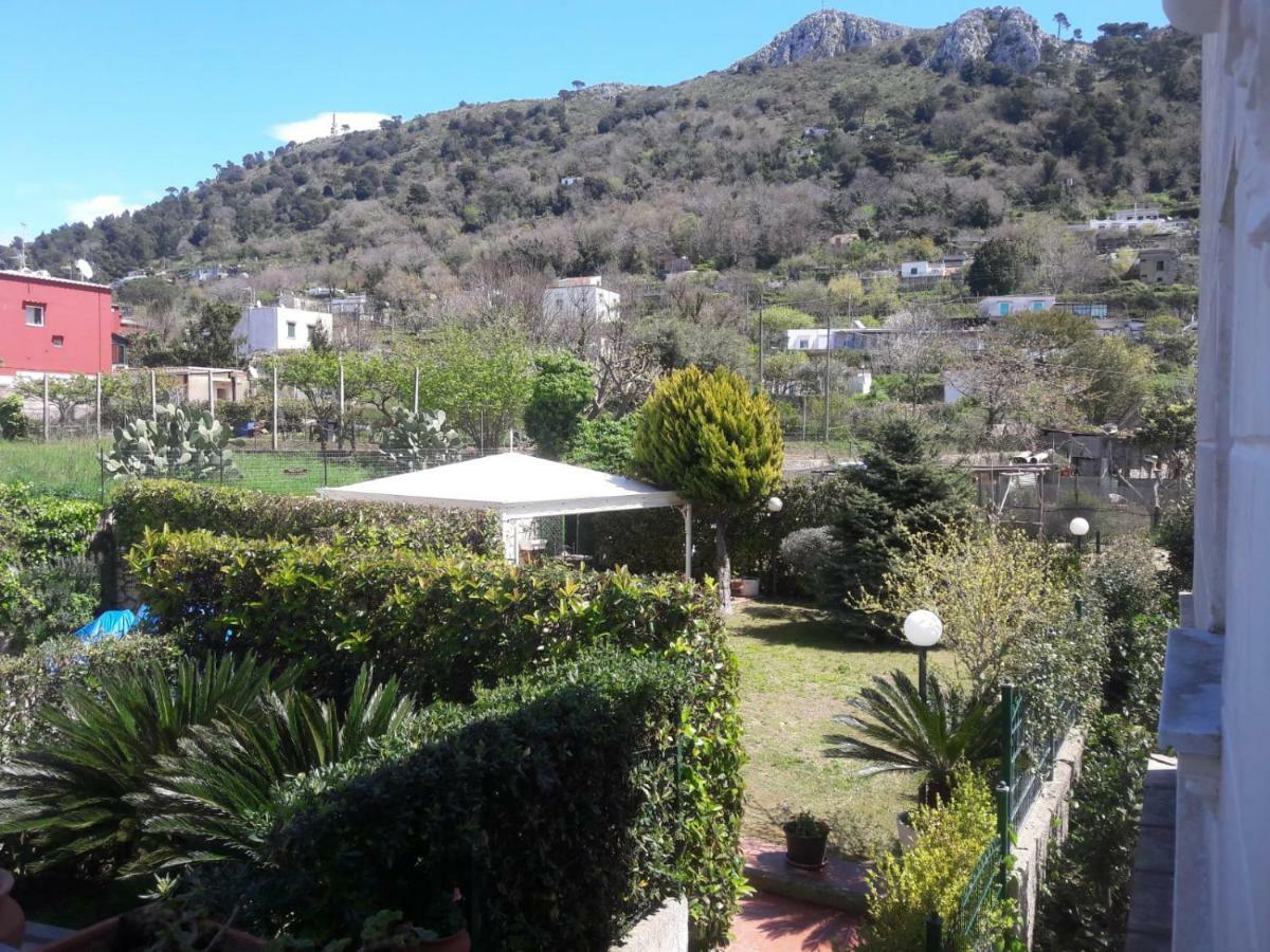 Villa Alessandro - Anacapri Dış mekan fotoğraf