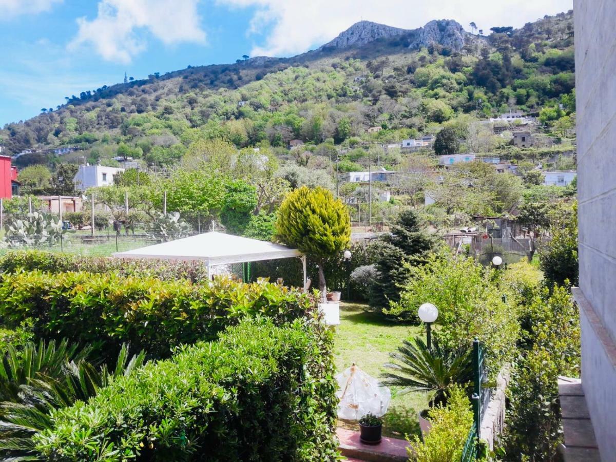 Villa Alessandro - Anacapri Anacapri  Dış mekan fotoğraf