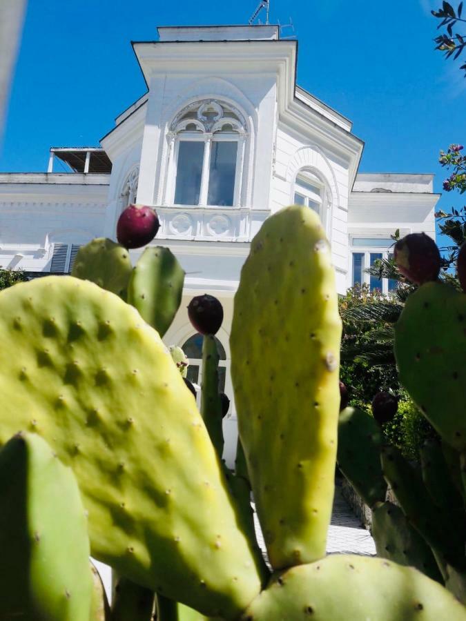 Villa Alessandro - Anacapri Anacapri  Dış mekan fotoğraf